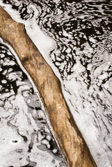 485-50 Foam Patterns and Log, Matthiessen SP