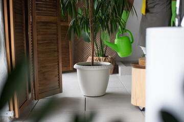 A girl in an apron and rubber gloves holds a green plastic watering can. Watering and caring for home plants.