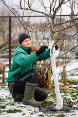 Caucasian woman gardener warming a bush for the winter, seasonal work in the garden close-up.