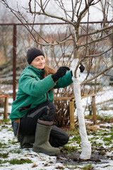 Caucasian woman gardener warming a bush for the winter, seasonal work in the garden close-up.