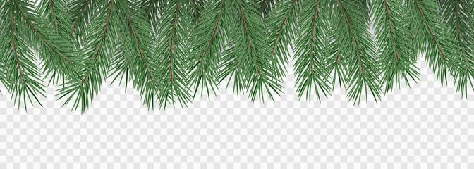 Fir branches on transparent background. Decorative christmas pattern or frame. Seamless vector illustration.