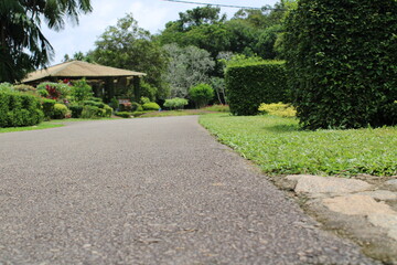 path in the park