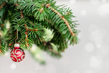 Fototapeta na wymiar Christmas decorative fir branch with red shiny ball on airy bokeh light background