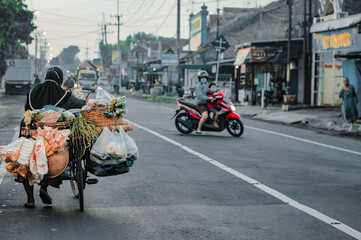 a portrait of a traveling greengrocer