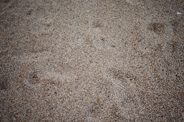 Fototapeta na wymiar 해변가 모래사장에 가득한 모래