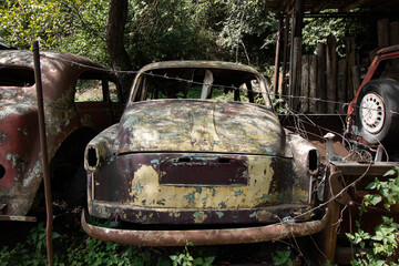 abandoned cars in the middle of the forest