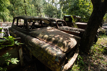 abandoned cars in the middle of the forest