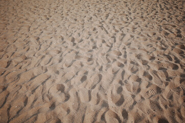 해변가 모래사장에 가득한 모래