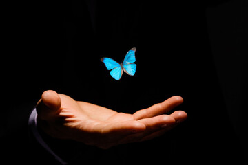 butterflies over hand over dark background