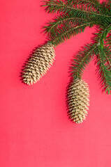 Natural spruce tree branch with a fir cone and Christmas decorations on a red background. Merry christmas and New Year. A minimalist composition, celebration and giving gifts. Copy space, flat lay.