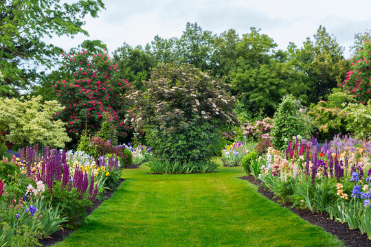 An English Style Garden Path with Mowed Lawn, Mixed Flower Beds - Daytime, with Pale Blue Sky