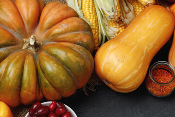 Pumpkins and corn cobs on black background