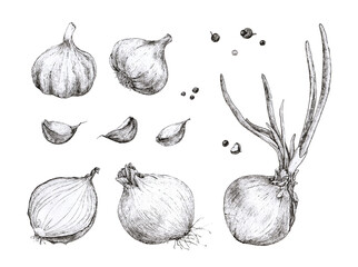 hand drawing onion, garlic, pepper for the design of the kitchen cafe restaurant menu