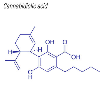 Vector Skeletal formula of Cannabidiolic acid. Drug chemical molecule.