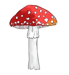 Hand drawn amanita mushroom isolated on white background vector illustration.