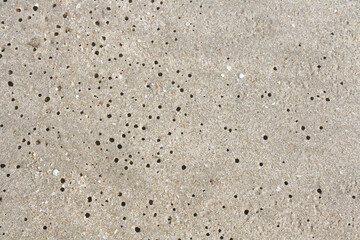 Worm holes in sand beach. Coastal porosity