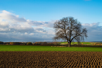 plowed field and blue sky