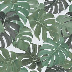 Foliage seamless pattern, Split-leaf Philodendronplant on bright grey
