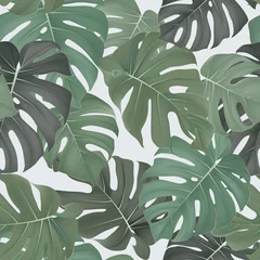 Fotobehang Foliage seamless pattern, Split-leaf Philodendronplant on bright grey © momosama