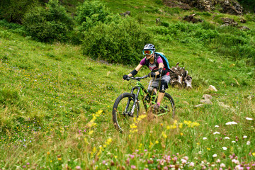 Naklejka premium Mountainbiken über Bergblumenwiese