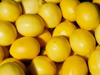 yellow,sour and juicy lemons close up