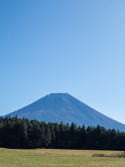 春の富士山