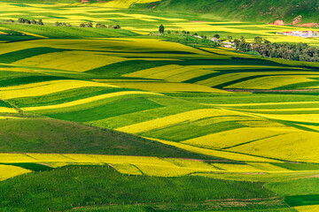 中国青海海北祁连卓尔山