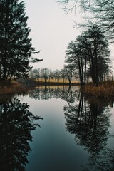 Fototapeta na wymiar Natur Teich