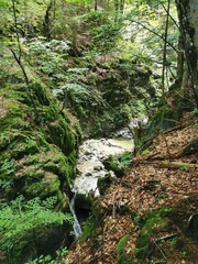 Wasserfall F&uuml;rstenbrunner Quell