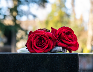 zwei rote Rosen  auf dem Grabstein