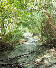 Greece sunse at the Acheron river in Glyki