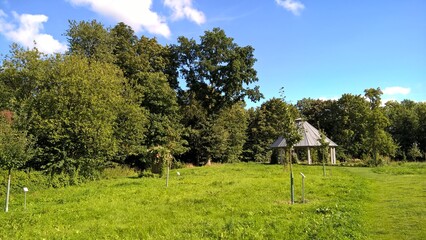 Wiese, Plön, holsteinische Schweiz, gr,ün blauer Himmel, Sommer, Schleswig-Holstein, Deutschland