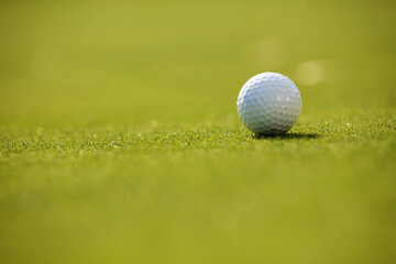 Golf ball on grass