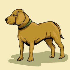 illustration vector of dog  very suitable as a picture on t-shirts, wall hangings, story books, or various other art products