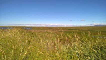 Island, Sommer, Wiesen, blauer Himmel