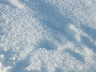 snow carpet