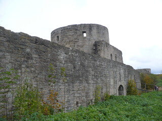 Koporye Citadel 2011