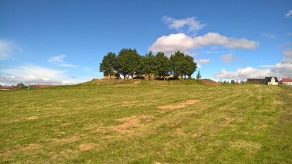 Island, Sommer, Wiesen, Bäume, grün, blauer Himmel