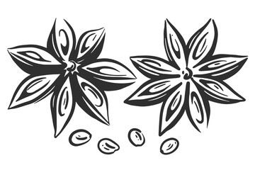 Fototapeta premium star anise hand drawing. spice. vector black and white illustration