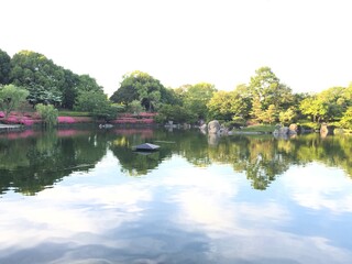 Fototapeta premium lake in the park