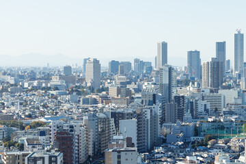 Fototapeta na wymiar 青空を背景に文京区から見た豊島区方面のビル群