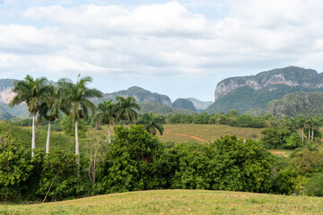 landscape of the hills of region, Viñales, Cuba
