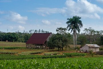 Fototapeta na wymiar old farm house, San Martín, Cuba