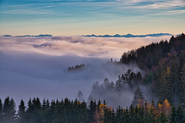 Fototapeta premium Landschaftsaufnahme eines nebeligen Waldes unter blauem Himmel mit einem Alpenkamm am Horizont 