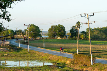 people walking on the road between fields, cuba