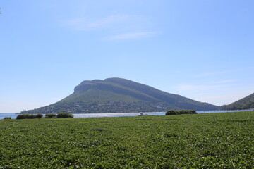 Photos taken in Elephant Sanctuary, Hartbeespoort.