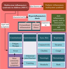 Pediatric multisystem inflammatory syndrome - Signs and symptoms