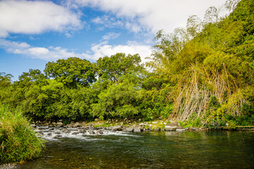 Fototapeta na wymiar Rivière des Marsouins, a river on the Indian Ocean Island of Réunion