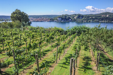 Obraz premium The castle in the village of Angers was founded in 1100. The Visconti family, who then sold the castle to the Borromeo family, created the most notable buildings in the 12-13th centuries. 