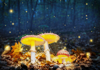Mystical fly agarics glow in a mysterious dark forest. Fairytale background for Halloween.